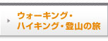 �E�H�[�L���O�E�n�C�L���O�E�o�R�̗�