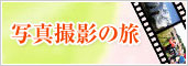 �ʐ^�B�e�̗�