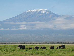 ケニア アンボセリ国立公園（イメージ）