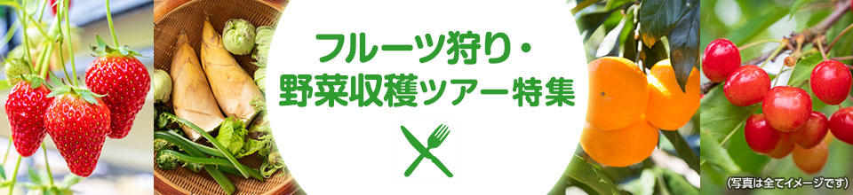 【多摩・西東京発】フルーツ狩り・野菜収穫ツアー・旅行