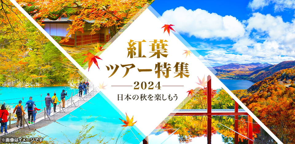 【茨城発】秋の紅葉ツアー・紅葉旅行2024