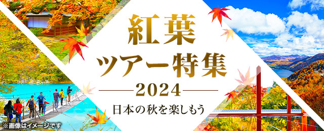 【中部・東海発】バスツアーで行く秋の紅葉ツアー・紅葉旅行2024