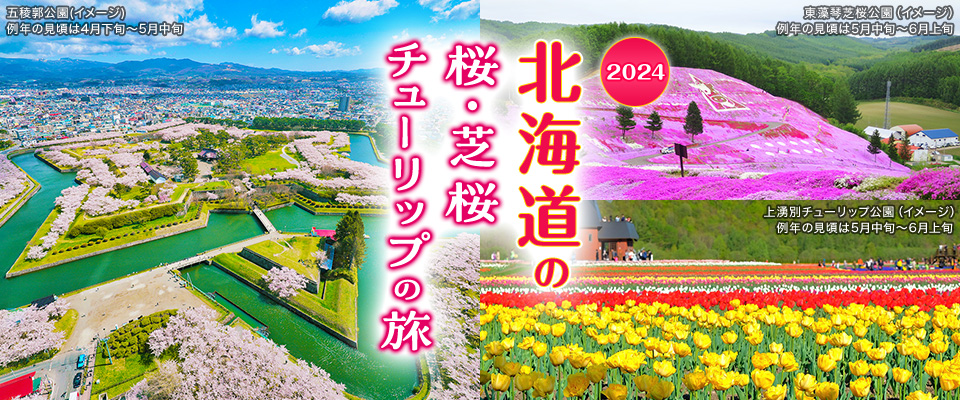 【東海発】北海道の桜・芝桜・チューリップツアー・旅行