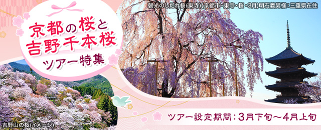 【中部・東海発】京都の桜と吉野千本桜ツアー・旅行2024