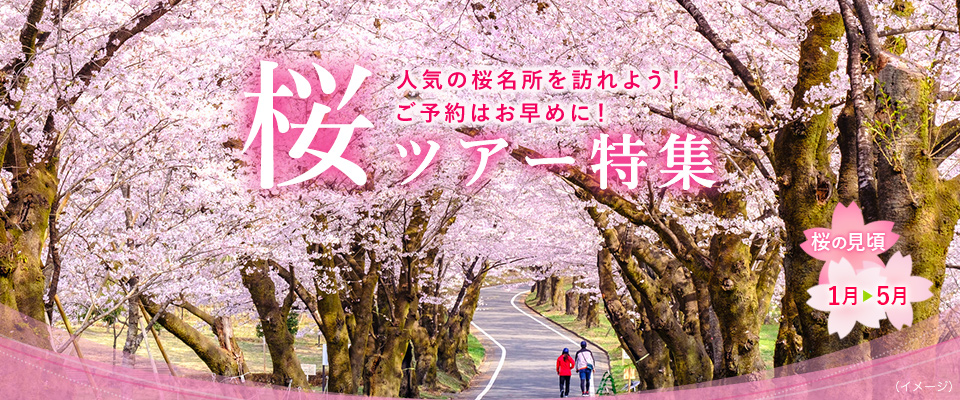【群馬・栃木発】桜・お花見ツアー・旅行2024