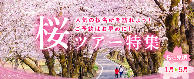 【神奈川（町田市含む）発】桜・お花見ツアー・旅行2024