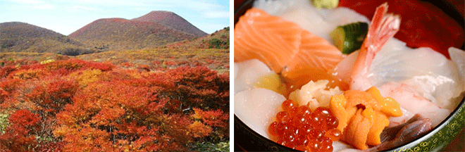 左：紅葉に彩られる恵山の絶景（イメージ）／右：函館朝市の海鮮丼も堪能（イメージ）