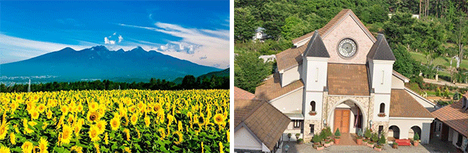 左：明野ひまわり畑（イメージ）※花の見頃は例年7月下旬～8月下旬／右：ハイジの村 チャペル（イメージ）