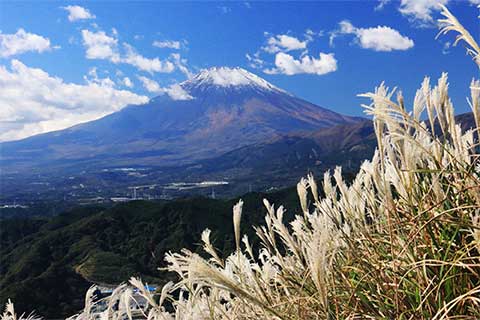 第2回　山頂に広がる草原と秋を彩るススキと富士山　大野山山頂より