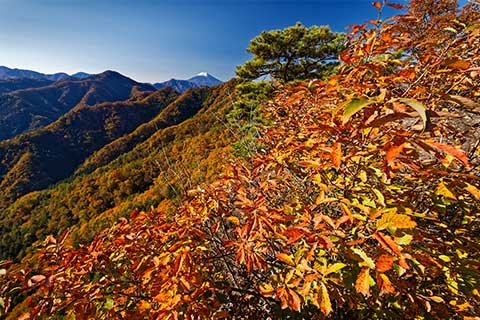 第3回　鶴寝山より奥多摩随一の紅葉と富士山を眺める