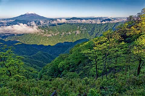 第12回　丹沢の山々を眺めながら丹沢山系を大縦走！　塔ノ岳～丹沢山～蛭ヶ岳