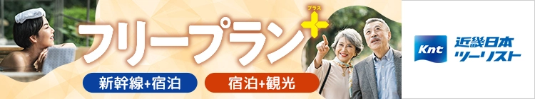 フリープランプラス