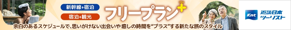 フリープランプラス