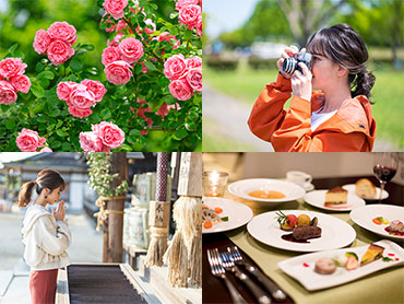 花・美食・歴史・寺社仏閣・写真