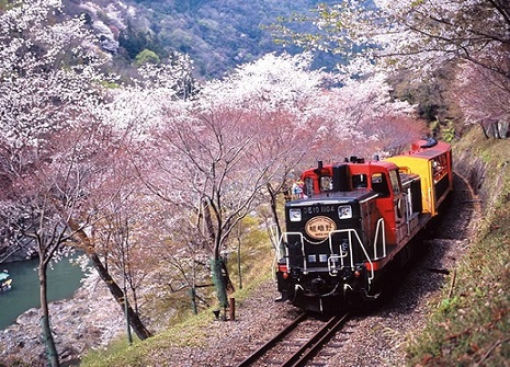 嵯峨野トロッコ列車（イメージ）