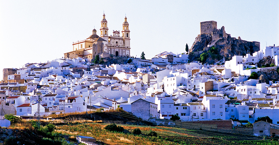 アンダルシア地方(イメージ)