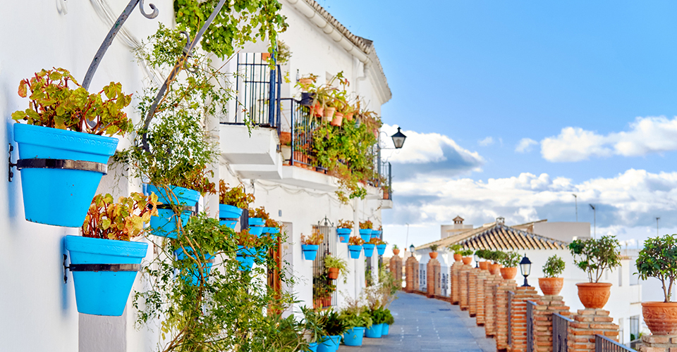 ミハス(イメージ)