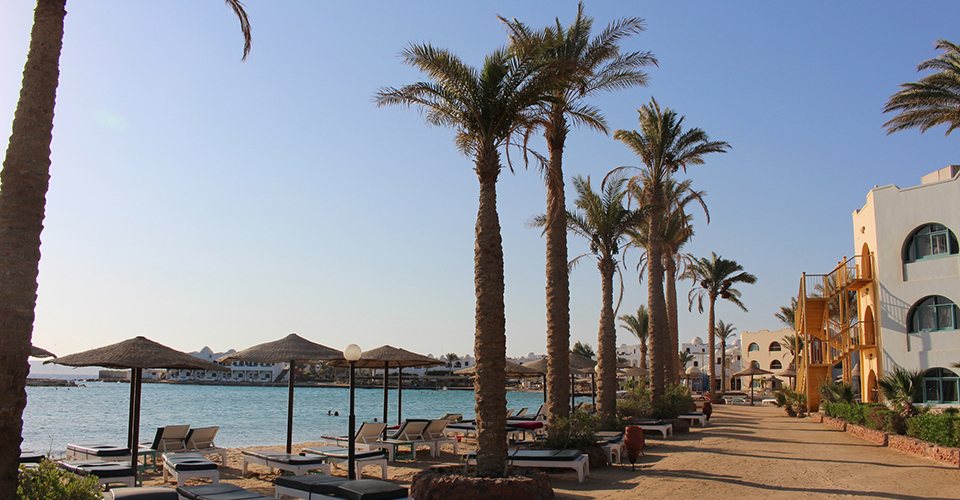 ハルガダ（イメージ）