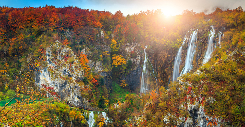 秋の黄葉（イメージ）