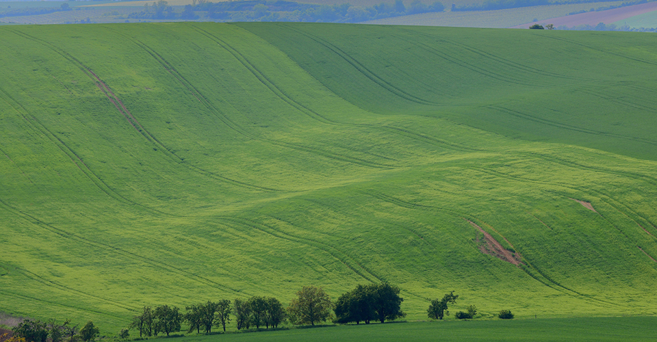 モラヴィア大平原（イメージ）