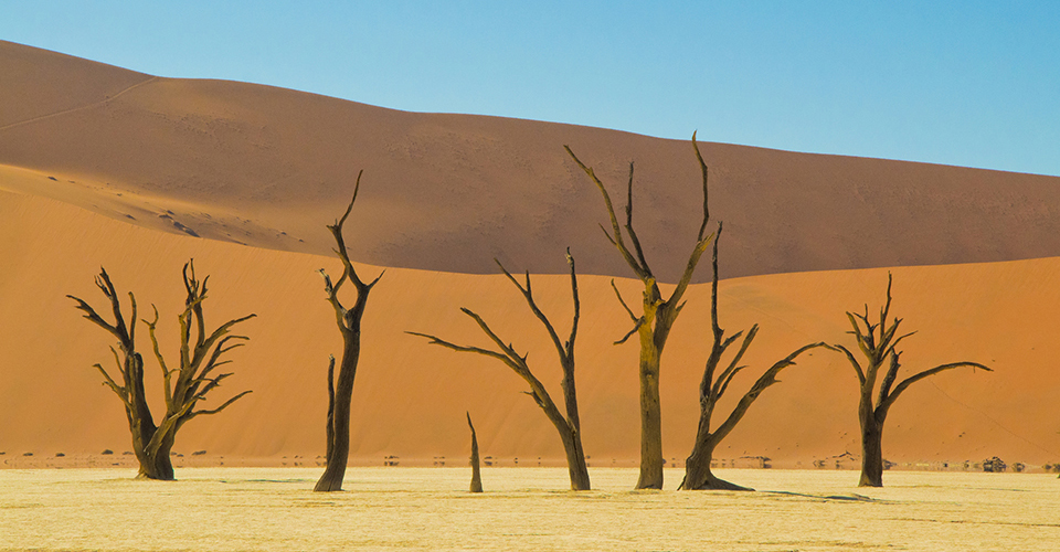 デットフレイ（イメージ）