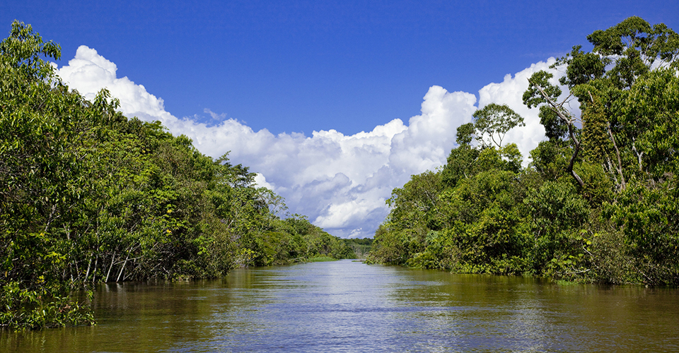 アマゾン河（イメージ）