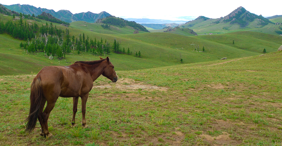 テレルジ国立公園（イメージ）