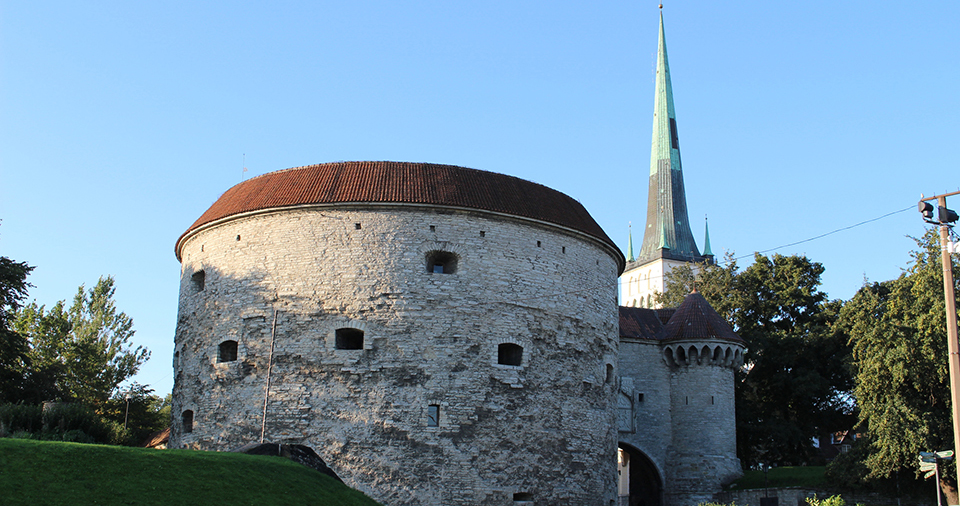 太っちょマルガレータ（イメージ）