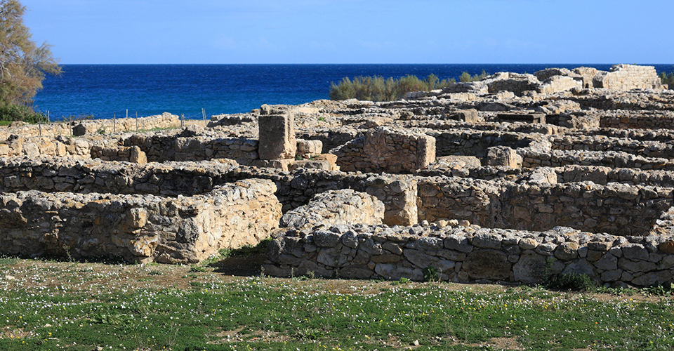 ケルクアン（イメージ）