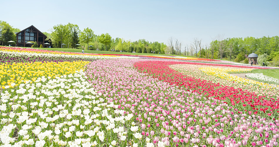 滝野すずらん丘陵公園（イメージ）