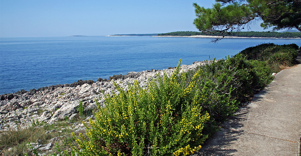 ロシニ島（イメージ）