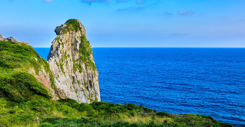 壱岐島　猿岩(イメージ)