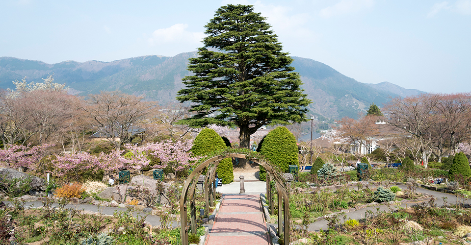 箱根強羅公園(イメージ)