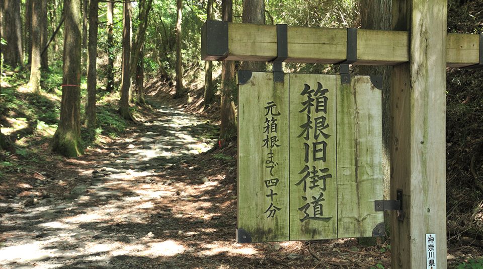 箱根旧街道（イメージ）