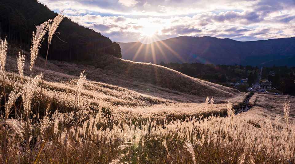 仙石原高原（イメージ）
