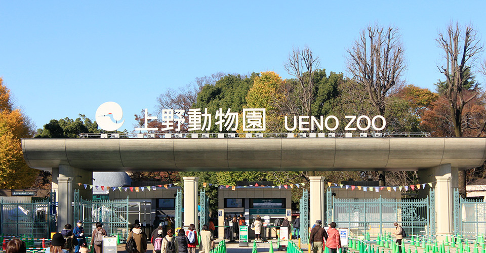 (イメージ)