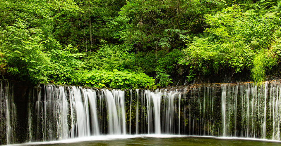 長野・白糸の滝(イメージ)