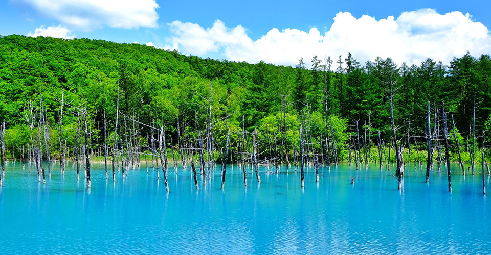 白金・青い池(イメージ)