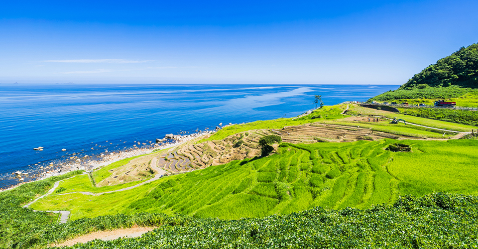 白米千枚田(イメージ)