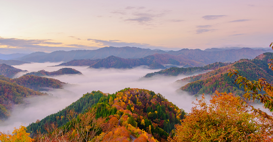 おにゅう峠(イメージ)