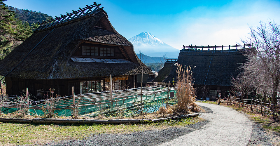 西湖いやしの里根場(イメージ)