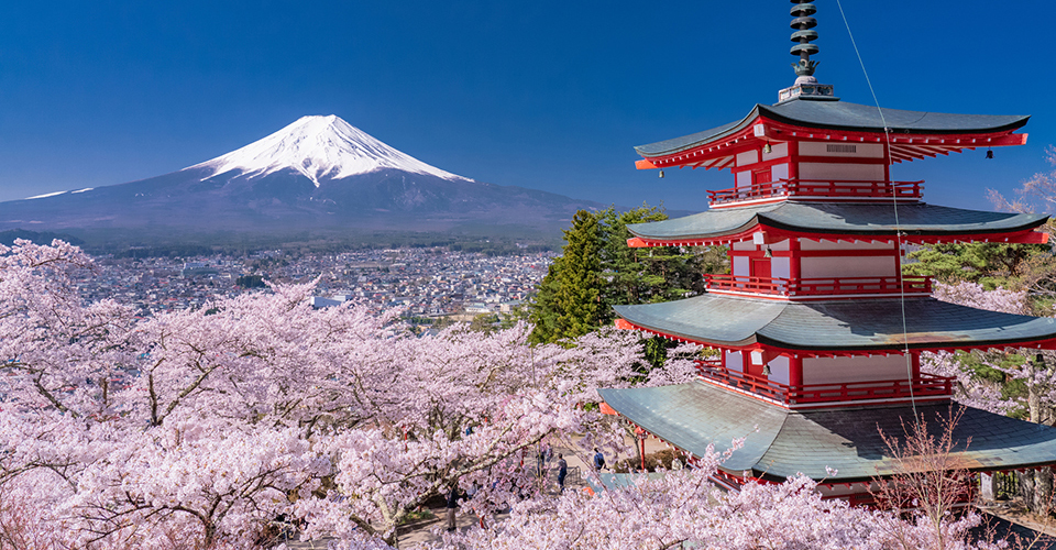 新倉山浅間公園(イメージ)
