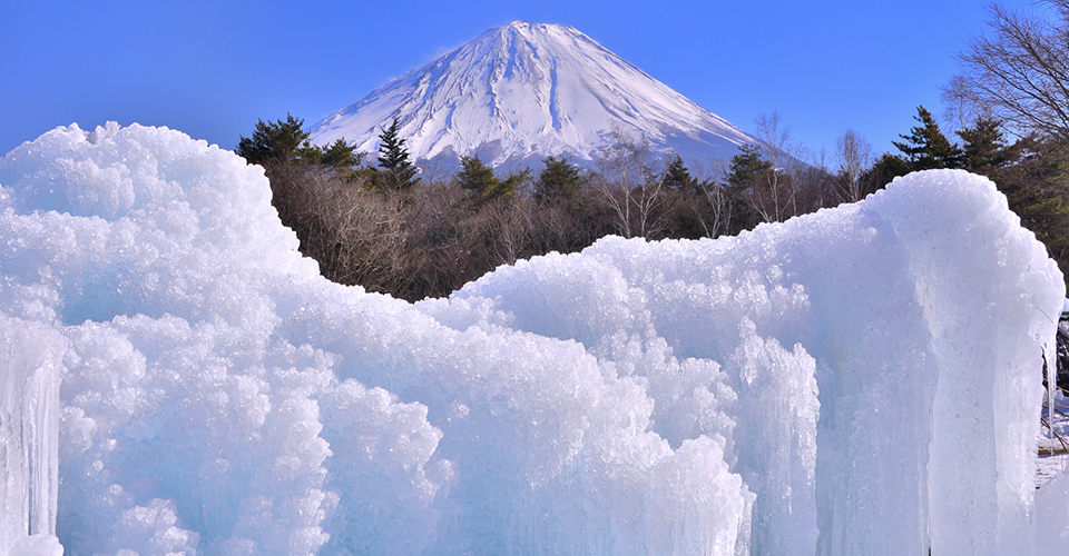 西湖／西湖樹氷まつり(イメージ)