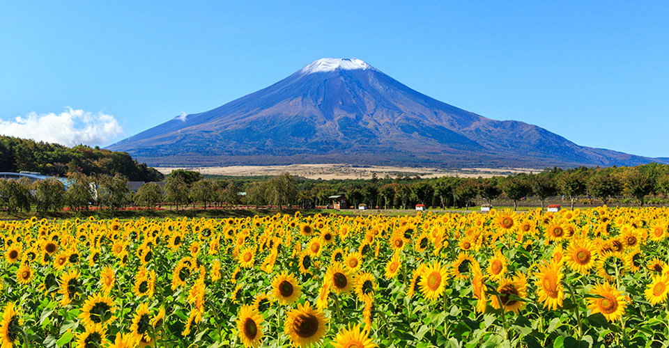 花の都公園（イメージ）