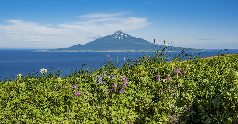 利尻山(イメージ)
