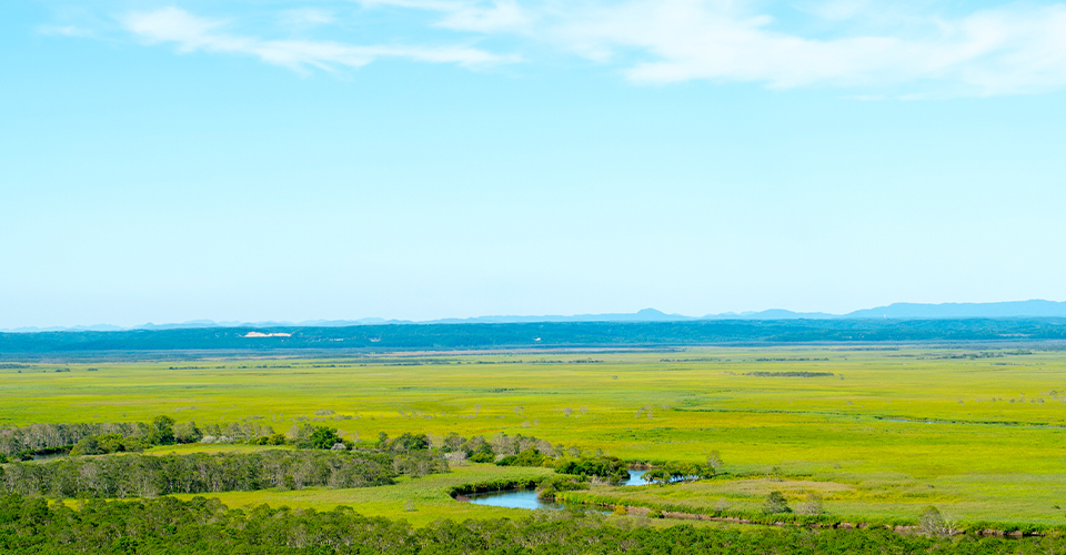 釧路湿原(イメージ)