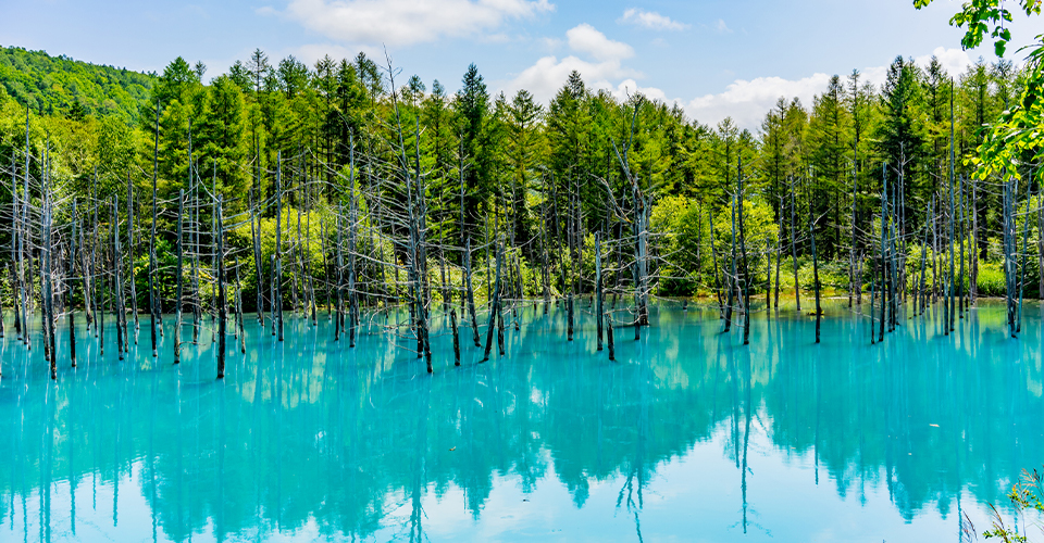 白金青い池(イメージ)