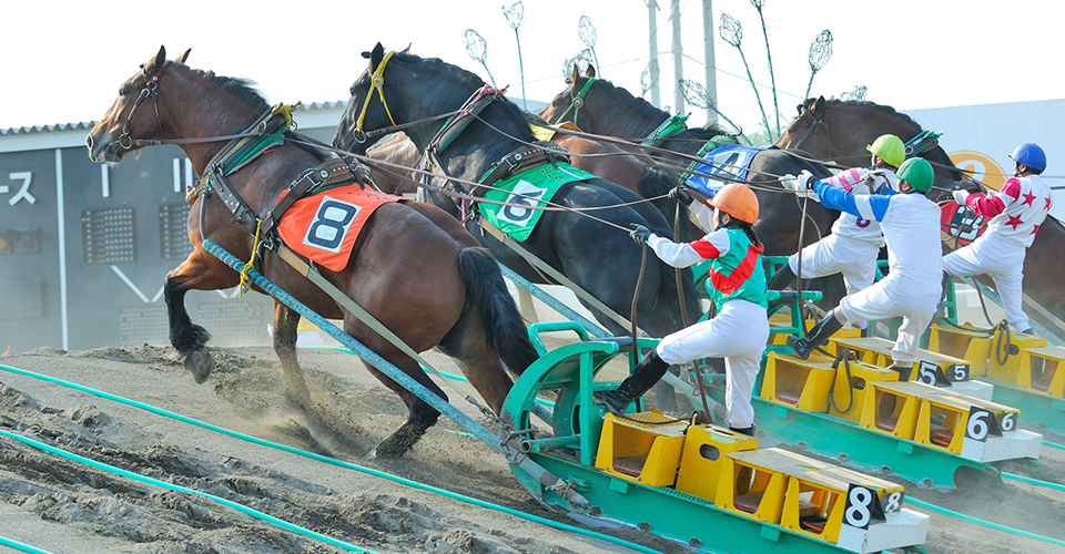 ばんえい競馬(イメージ)