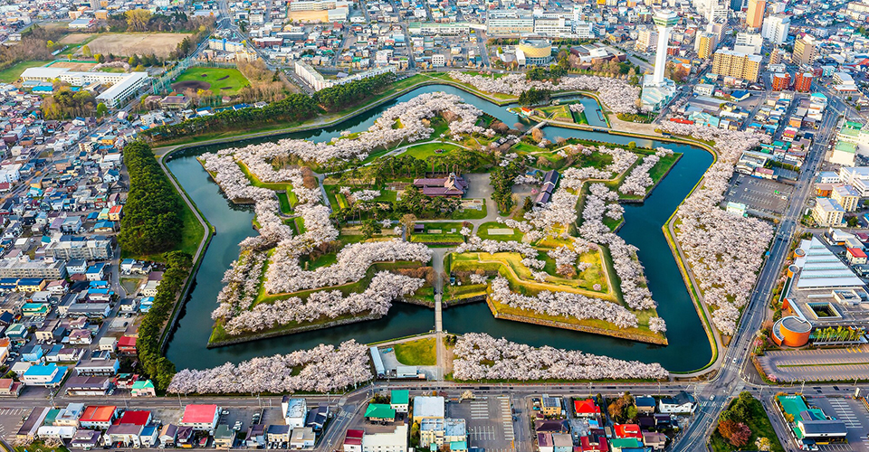 五稜郭公園(空撮・イメージ)
