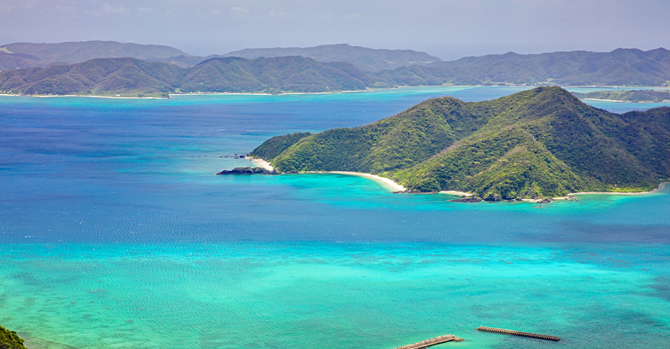 奄美大島(イメージ)